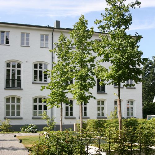 Bäume pflanzen, Alte Schule Wittlaer, Außenanlagen, Wohnanlage, Grünplanungsbüro Baumann